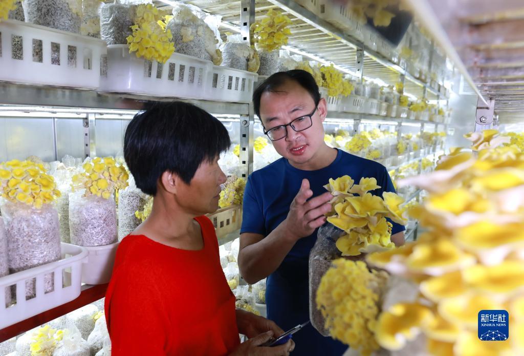 捕鱼达人游戏机说明书
